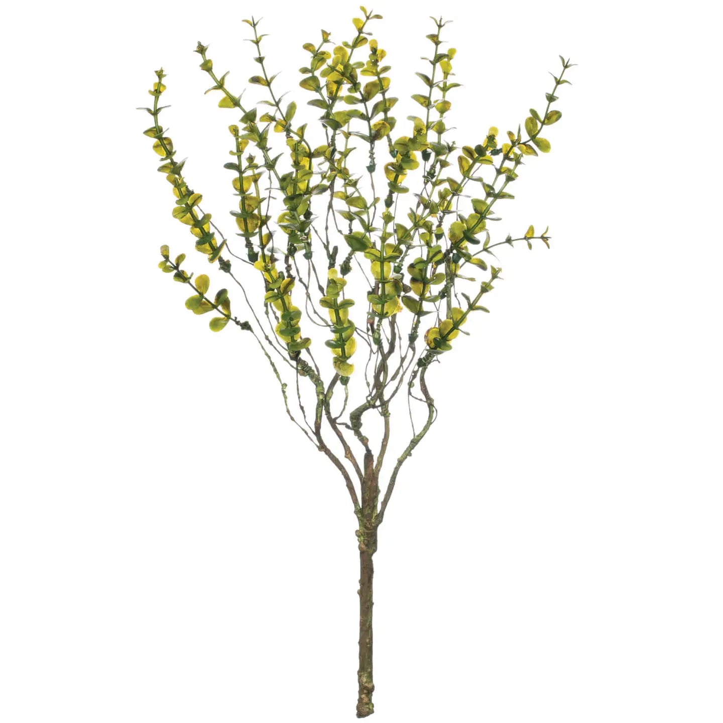 Sullivan's Home Decor - Spring