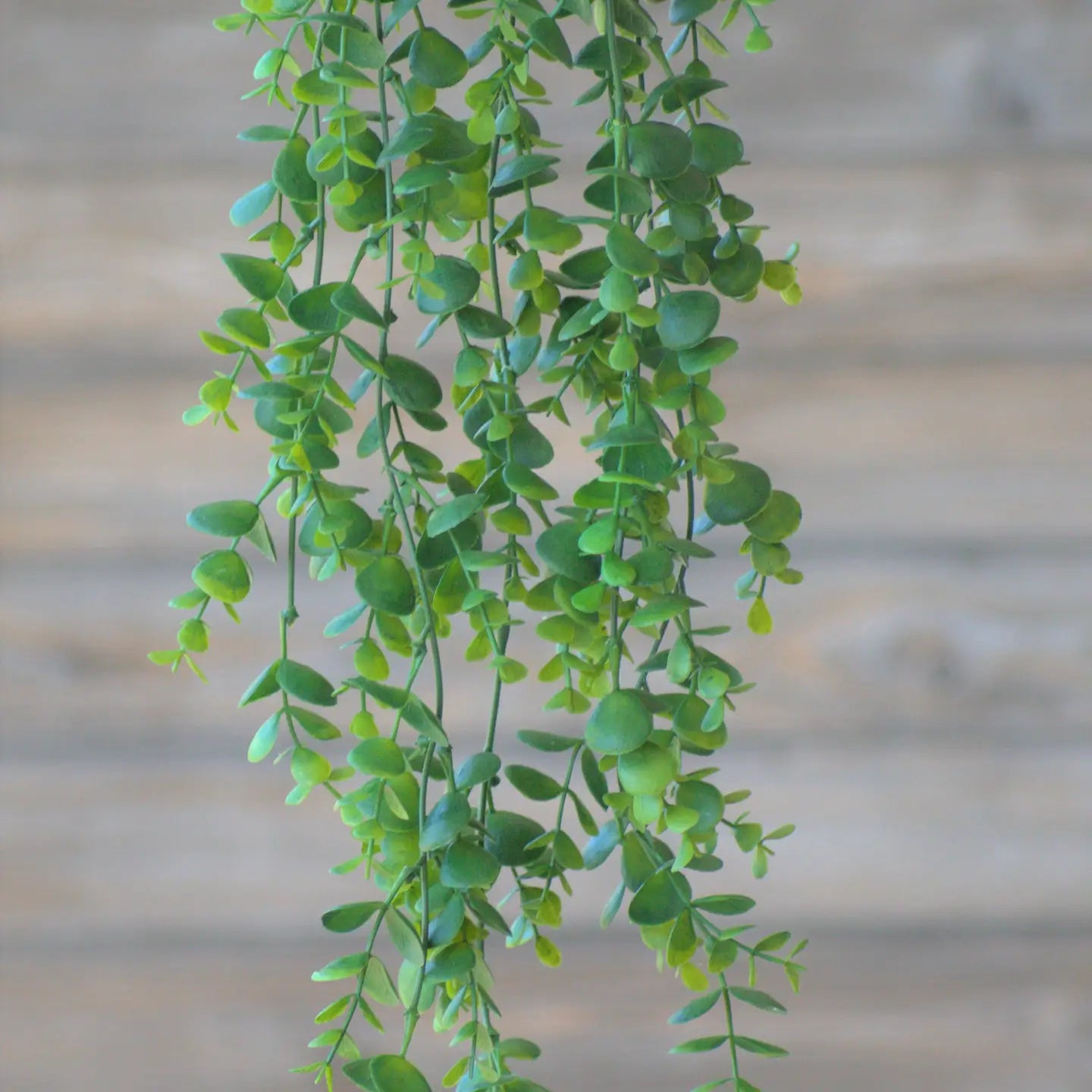 Wholesale Home Decor - Spring