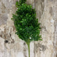 Wholesale Home Decor - Spring